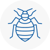 Bed Bug Extermination In Workington